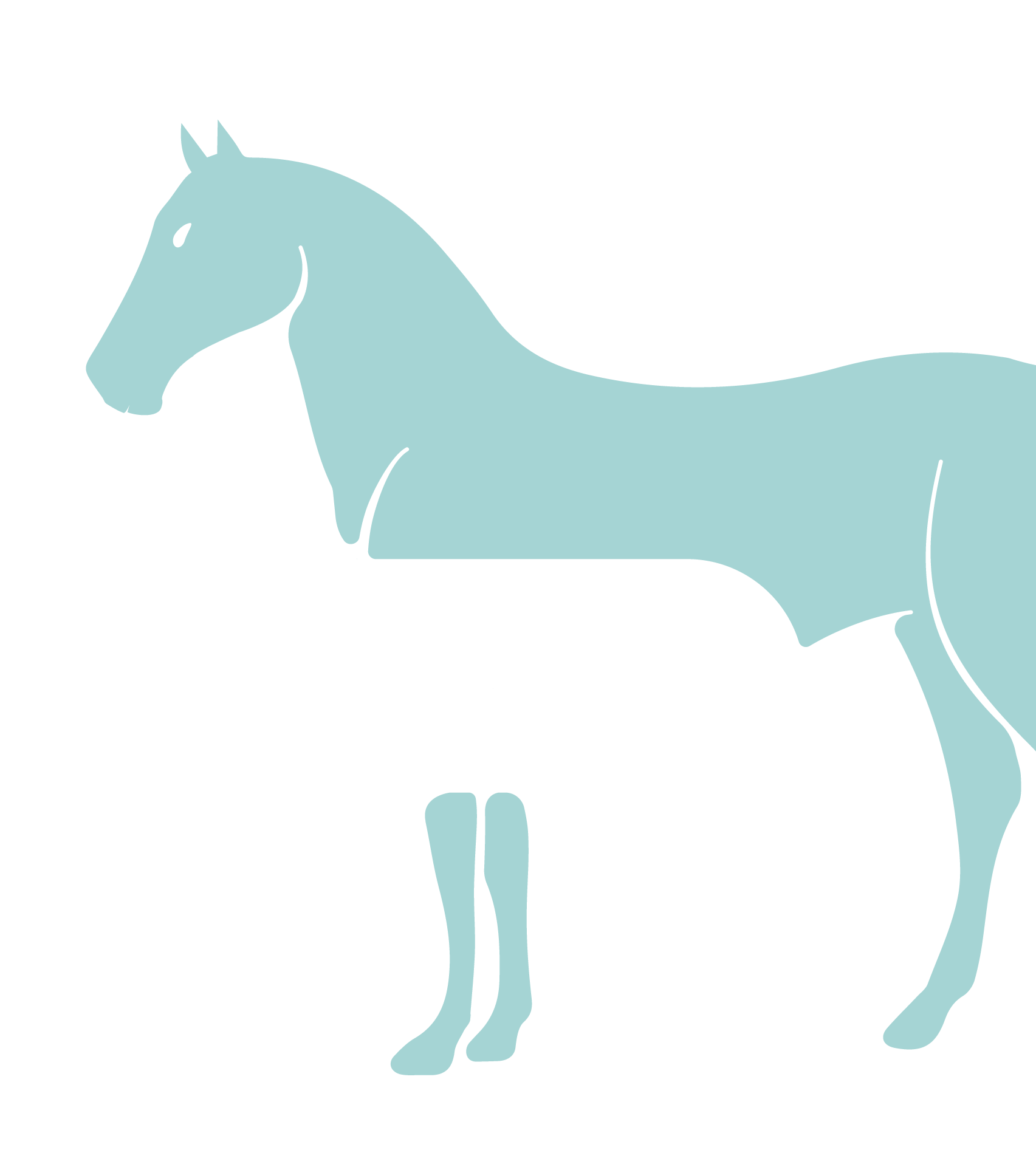 100 lb horse graphic