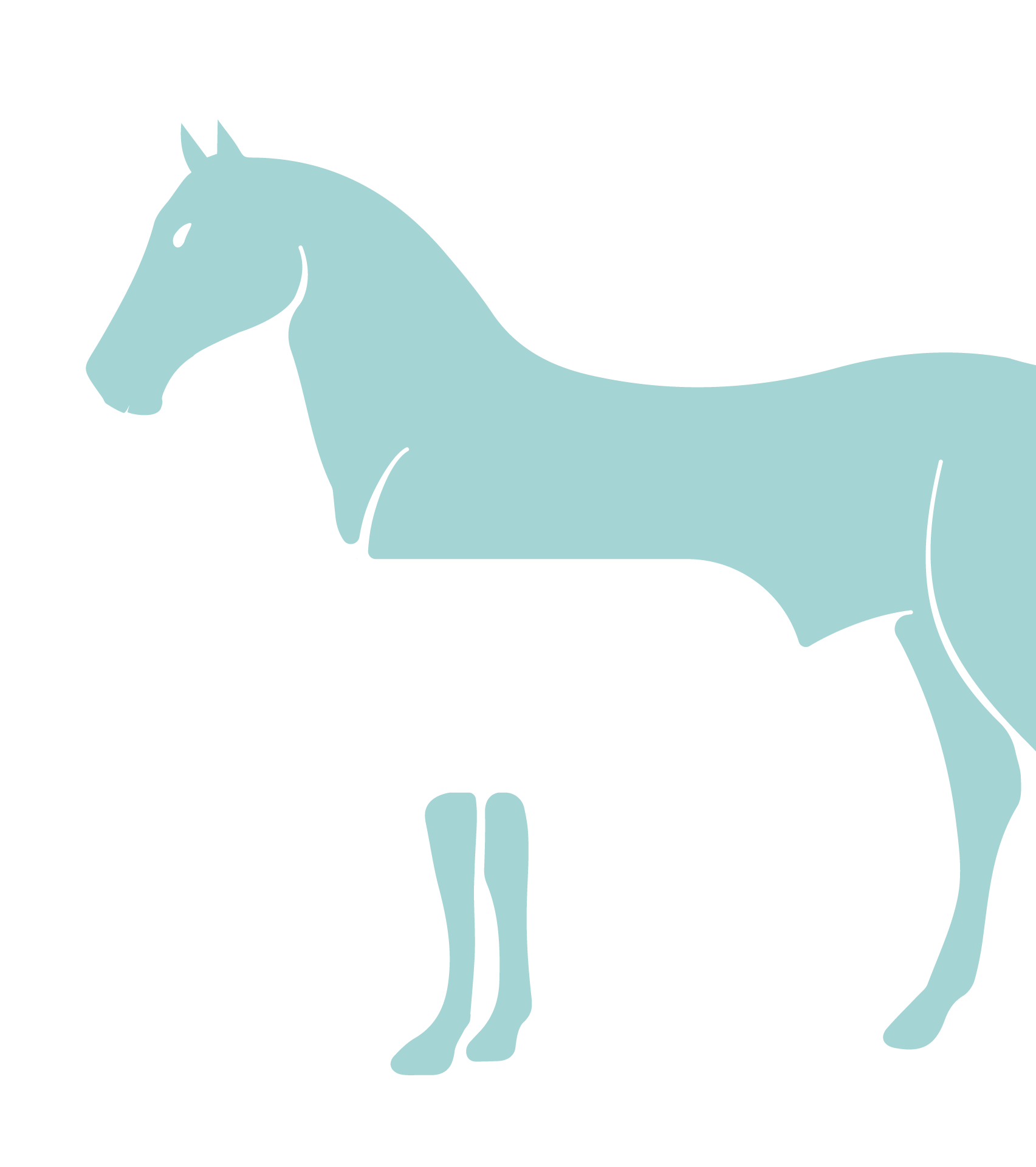 400 lb horse graphic