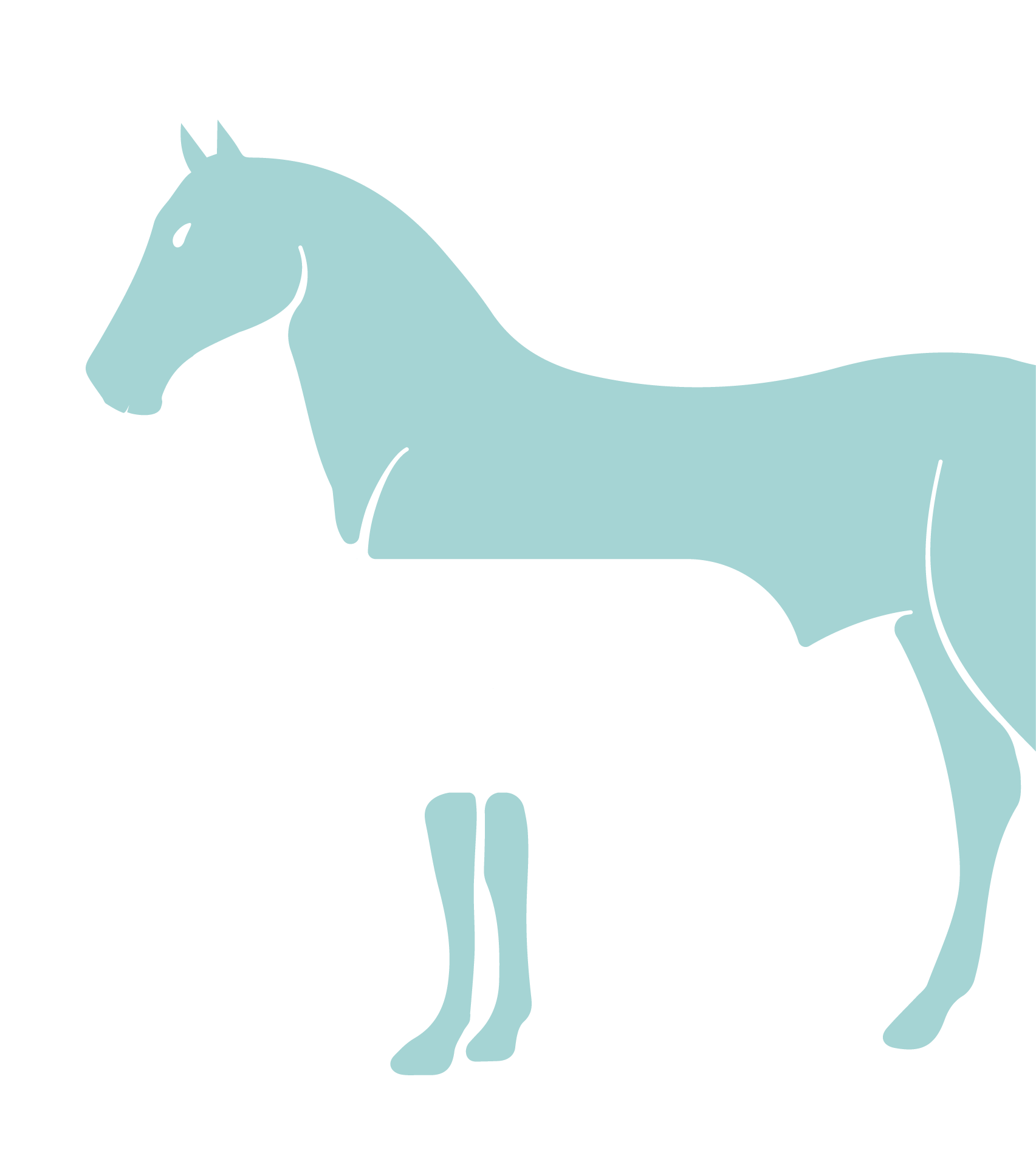 1000 lb horse graphic